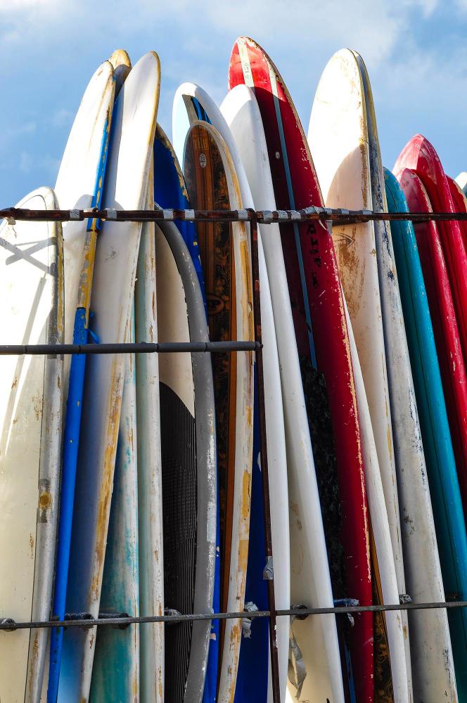 קרדיט תמונה FREEPIK