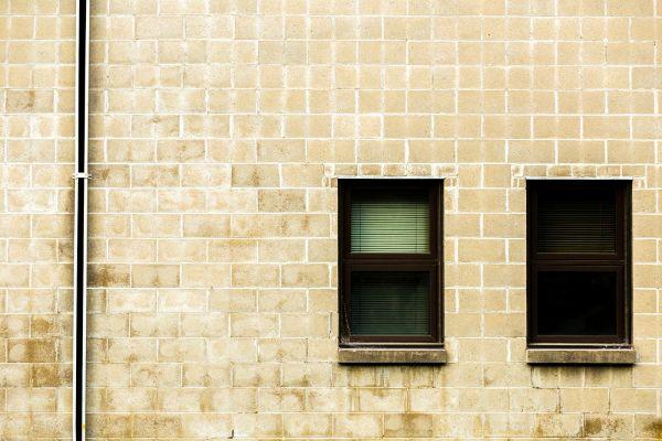 קרדיט תמונה FREEPIK