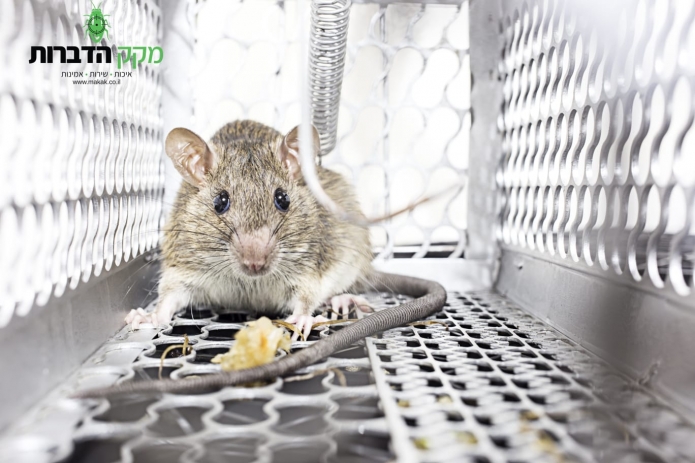 קרדיט תמונה יח"צ