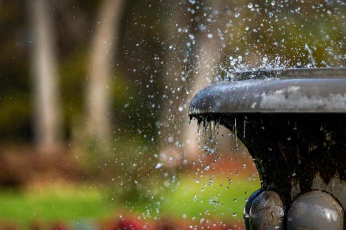 קרדיט תמונה FREEPIK