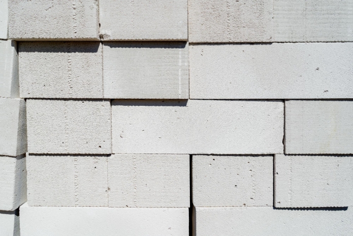 קרדיט תמונה FREEPIK