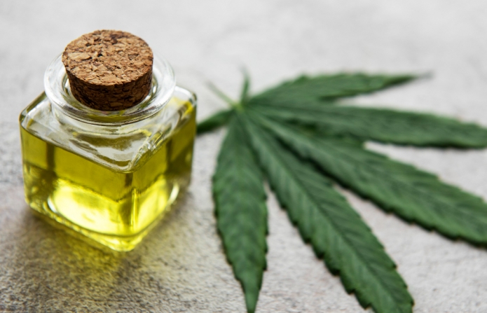 קרדיט : freepik