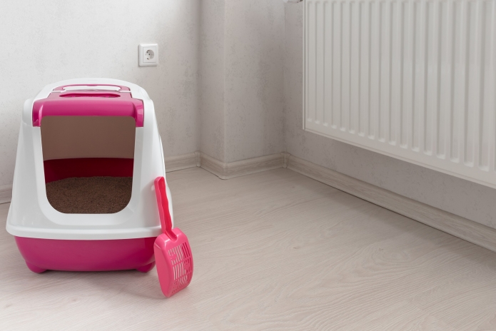 קרדיט תמונה: freepik