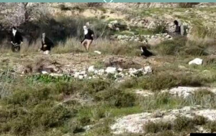 קרדיט: יש דין