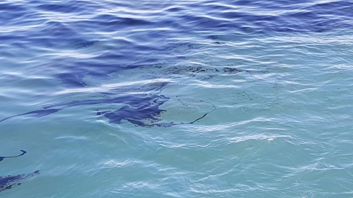 מפקחי היחידה הארצית להגנת הסביבה הימית ממשיכים לעקוב ולפקח אחרי הפעולות בשטח. המשרד בודק את נסיבות האירוע.