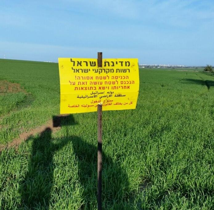 אילוסטרציה