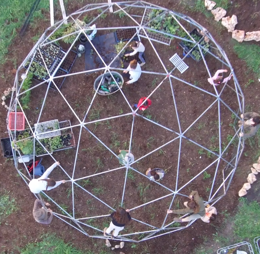 הגן הסולארי