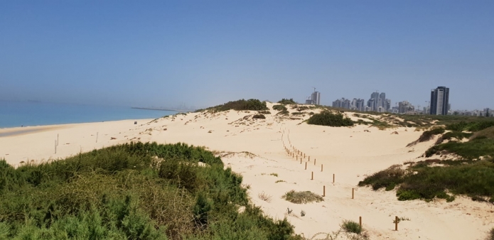 פארק אקולוגי חופי מצודת אשדוד (קרדיט תכנון נופי וליווי אקולוגי: אדריכל נוף ואקולוג ליאב שלם)