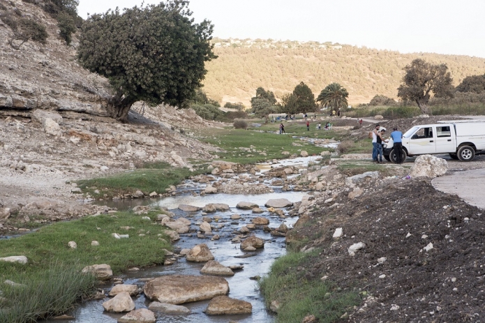 ציפורי (צילום: עמיר חיל)