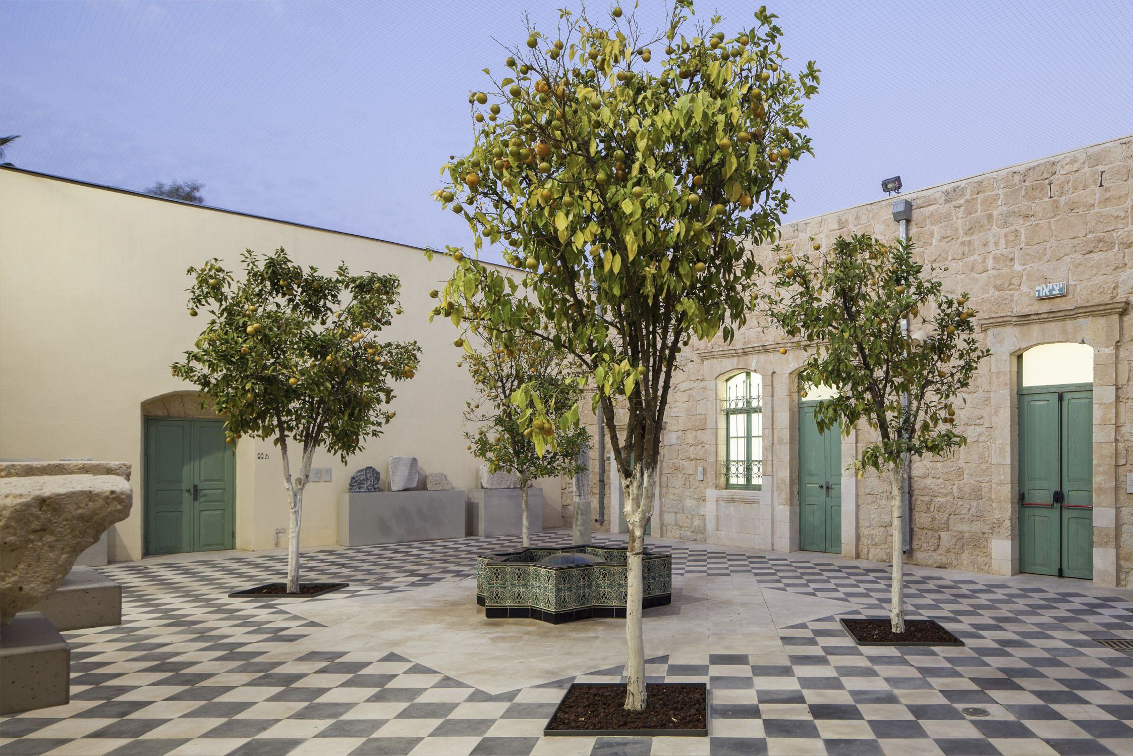 צילום: עמית גירון