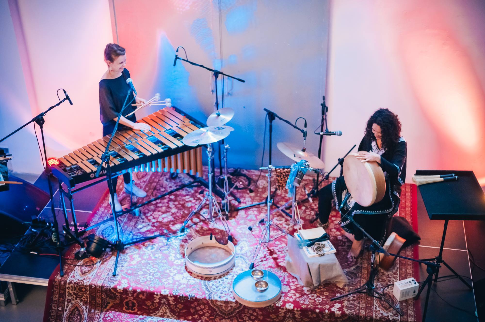 צילומים: שיר פרסר ואיריס חיון