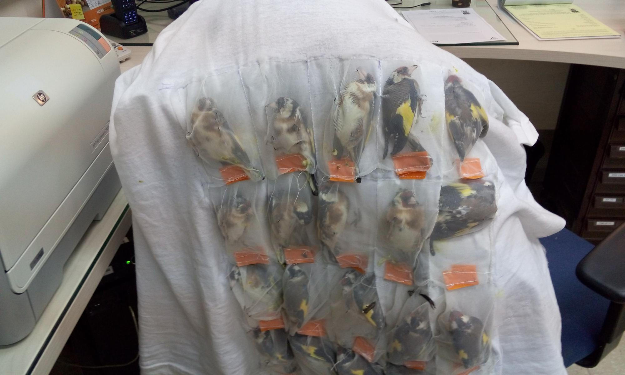 צילום:משרד החקלאות