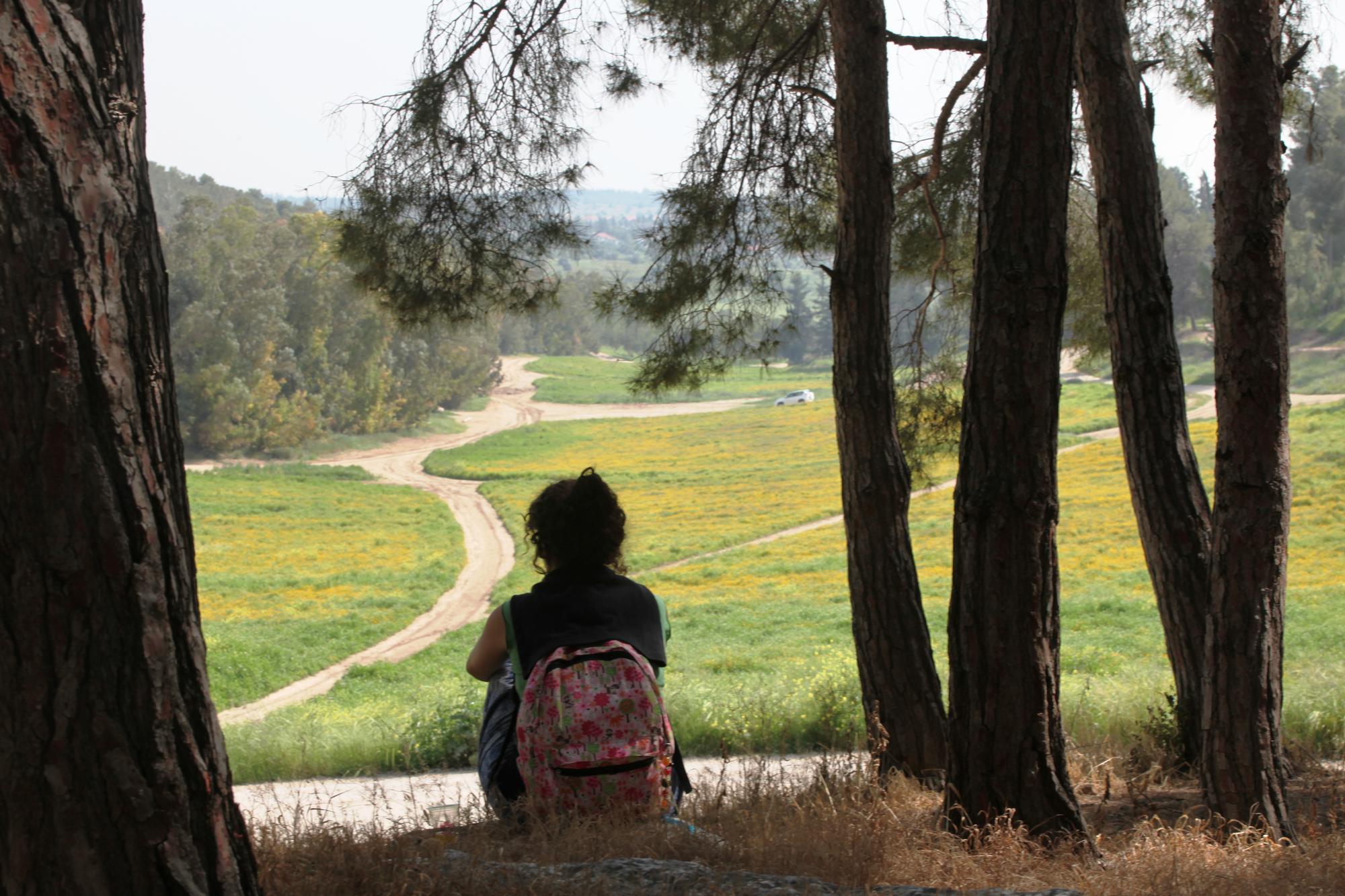 צילום: יער בן שמן 08 אבי חיון  אגמון החולה – אבי הירשפלד אגמון החולה משפחה – ארכיון קק"ל
