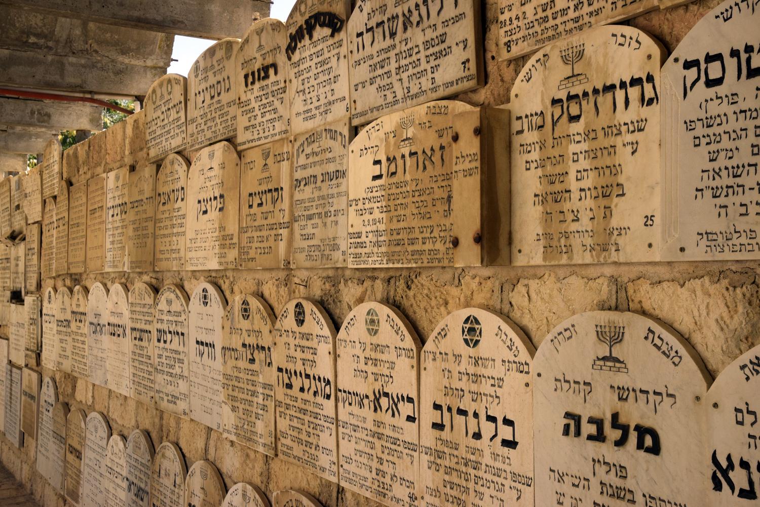 צילום: דוד וערן גל אור