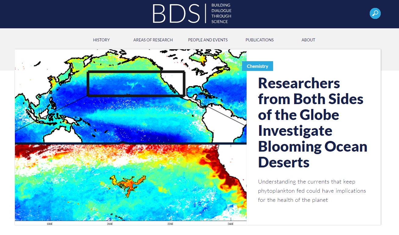 צילום מסך של האתר החדש