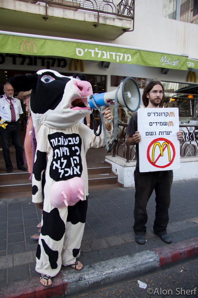 המחאה נגד מקדונלדס