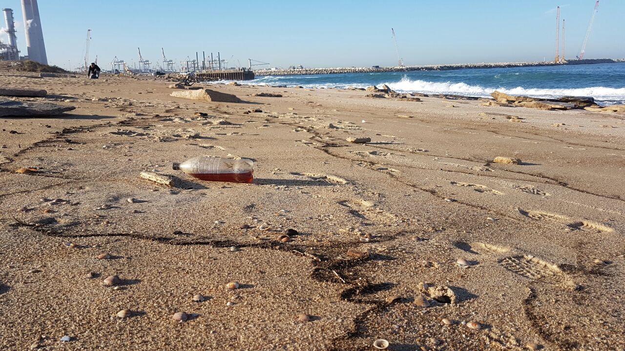 צילום: המשרד להגנת הסביבה