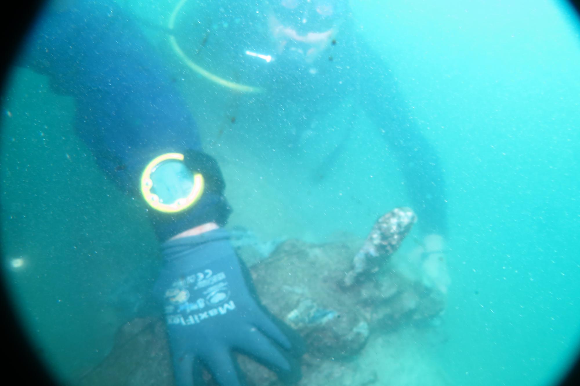 צילום: יצחק קודוביצקי ודרור אריאלי, מפקחי המשרד להגנת הסביבה