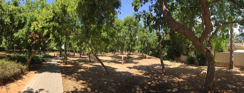 חורשת העמל ברמת השרון. צילום: עמית גירון