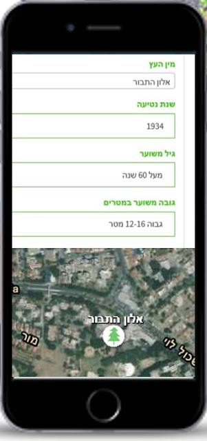 לרגל טו בשבט משרד החקלאות משיק:  אתר "עצי מורשת" הכולל את סיפורם של כ-1,500 עצים עם סיפורים היסטוריים