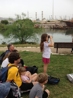 עשרות צפרים ציינו את יום הנדידה הבינלאומי בפארק הקישון בחיפה