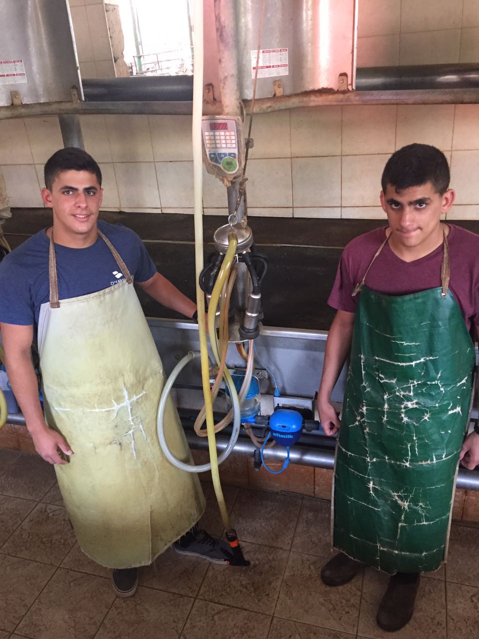 הקשר עם הטבע, החיות והסביבה מובילים לחינוך לערכים 