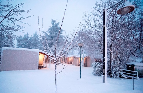 (צילום:אילן הדר)