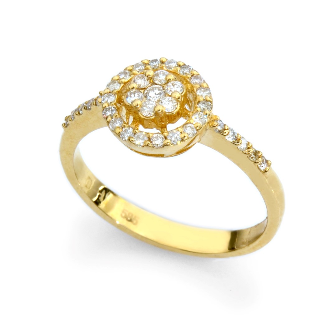 (צילום:גוונית קאשי טויטו)