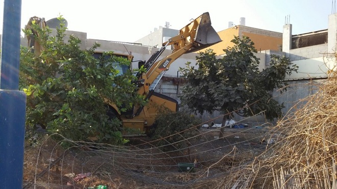 (צילום:רשות מקרקעי ישראל)