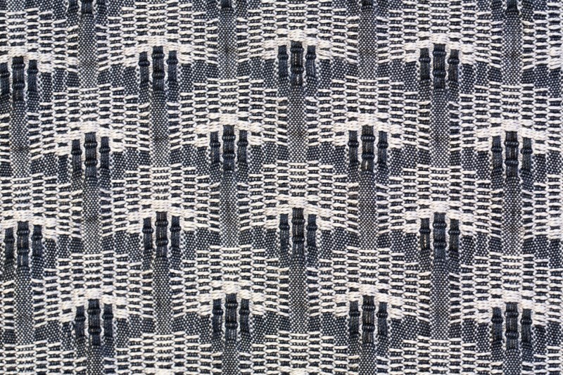 שביט מונדר(צילום:אחיקם בן יוסף)