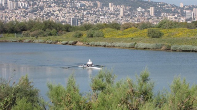 מורד נחל קישון- האזור המיועד לטיפול בקרקעית (צילום: גיל גוטמן, רשות נחל הקישון) moradkishon