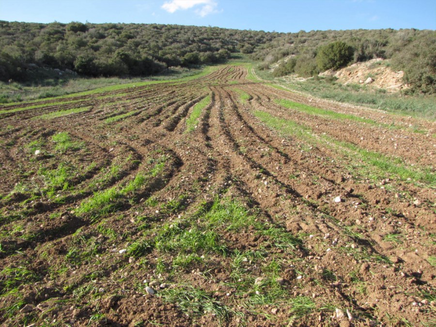 (צילום:מנהל-מקרקעי-ישראל)