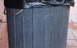 בפח האשפה של המדינה גלום אוצר יקר - מיזם חדש של שר החקלאות צילום: אילוסטרציה