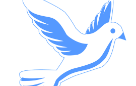 סקר: הישראלים בעד חנינה לאזריה ובסך הכל מרוצים מהמצב הביטחוני תמונה: אילוסטרציה