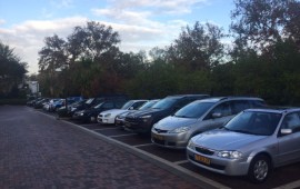 תושבים לגרובר נגד כריתת חורשת העמל והנת"צים בסוקולוב: "מצב החנייה גם ככה בלתי נסבל" מצוקת חנייה ברמת השרון