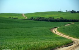 בואו לטייל בנחל שקמה בצפון הנגב אשר עבר שדרוג והנגשה למטיילים נחל שקמה (צילום: אורטל צבר)