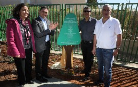 בבאר שבע מחנכים לירוק: ילדים, גינה וקהילה אכפתית גינה אקולוגית–חקלאית בגן