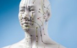 אז מה זה בכלל נוטריפונקטורה? nutrifankatura