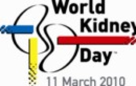 הקשר בין סוכרת למחלות כליה world_kidney_day_logo