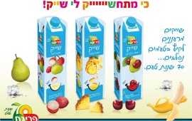 חגיגות ה-70 שנה של פריגת ממשיכות עם סדרת שייקים קייצית חדשה nektar_prigat