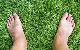 כך תבחרו דשא סיננטי לבית שלכם דשא סינטטי