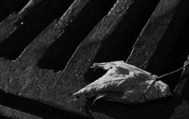 שאיבות ביוב: כדי שתוכלו לנשום לרווחה