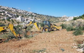 ירושלים: מפקחי רשות מקרקעי ישראל פינו מטע זיתים שהוקם בפלישה לאדמות המדינה ועיכב את עבודות התשתית להרחבת שכונת ארמון הנציב צילום: רשות מקרקעי ישראל.